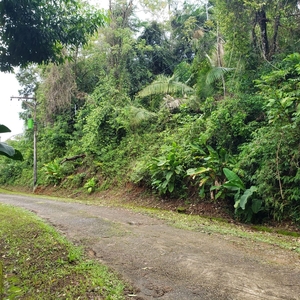 Terreno em Sertão do Perequê Mirim, Ubatuba/SP de 700m² à venda por R$ 498.000,00