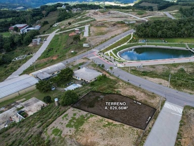 Terreno em Villa Romana, Flores Da Cunha/RS de 827m² à venda por R$ 428.000,00