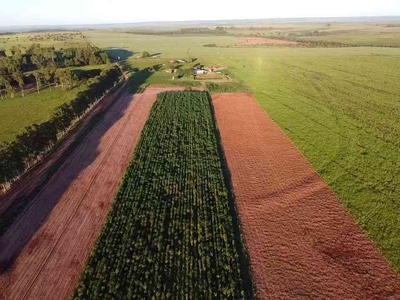 Fazenda com 2 quartos à venda no bairro Centro, 103m²