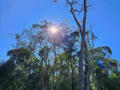 Excelente sítio Rural em Alfredo Wagner para quem busca o local perfeito. Excelente aprove