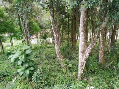 Terreno à venda no bairro Vila David Antônio - Campo Largo/PR