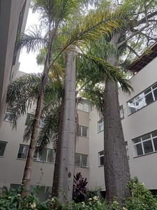 Apartamento em Santo Amaro, São Paulo/SP de 50m² 2 quartos para locação R$ 2.849,13/mes
