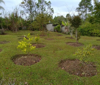 Chácara em Jardim dos Eucaliptos, São Paulo/SP de 300m² 4 quartos à venda por R$ 659.000,00