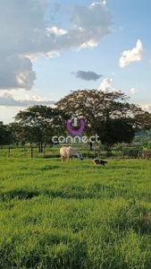 Fazenda em Rural, Monte Aprazível/SP de 10m² 2 quartos à venda por R$ 3.999.000,00