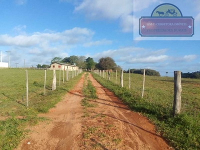 Propriedade com 5,5 Hectares na rua calçada