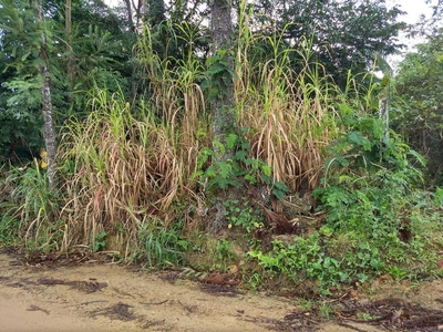 Terreno - Blumenau, SC no bairro Passo Manso