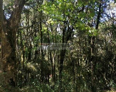 Terreno Lote para Venda em Carniel Gramado-RS