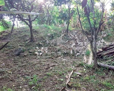 TERRENO NO BAIRRO GUARANI