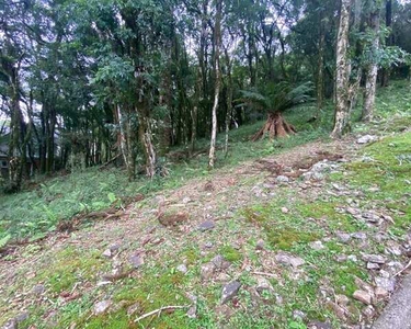 Canela - Terreno Padrão - Pinheiro Grosso