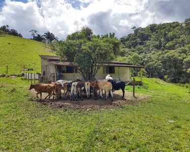 Sitio a venda no Bairro Vargem grande Cidade Natividade da Serra