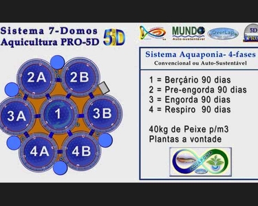 Sistema revolucionário para aquicultura, Peixe, Camarão ou Aquaponia