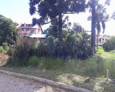 TERRENO COM VISTA NO PINHAL ALTO EM NOVA PETRÓPOLIS NA SERRA GAÚCHA