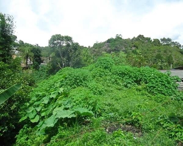 TERRENO COMERCIAL em Juquitiba - SP, Juquitiba