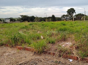 Terreno em Centro, São José do Rio Preto/SP de 10m² à venda por R$ 85.000,00