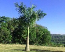 TERRENO A VENDA VIVENDAS DO LAGO SOROCABA-SP