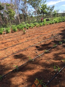 Chácara a venda, Setor Norte, Planaltina, GO