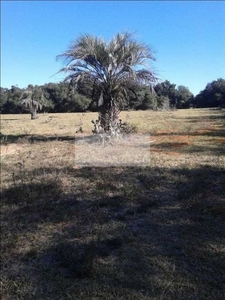 Chácara Com 23 Hectares em estrada Principal na Águas Claras