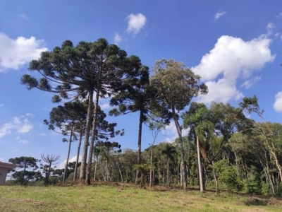 Terreno em condomínio fechado à venda na anibal antônio de aguiar maia, jardim menino deus, quatro barras, 4295 m2 por r$ 1.500.000
