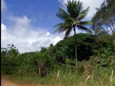 Área à venda no bairro Centro - Mata de São João/BA