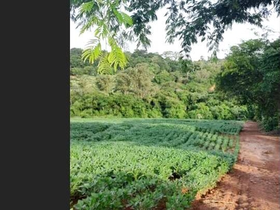 Área para Venda em Mandaguaçu