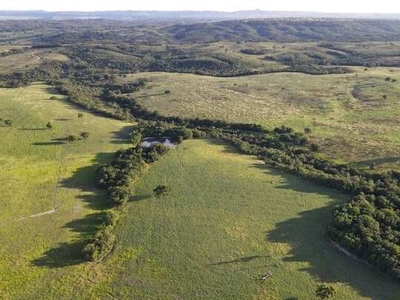 Fazenda à venda na região de Novo São Joaquim MT