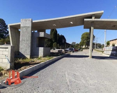 CAXIAS DO SUL - Terreno Padrão - Nossa Senhora da Saúde