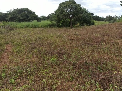 Chácara em Setor Central, São Francisco de Goiás/GO de 0m² 3 quartos à venda por R$ 179.000,00