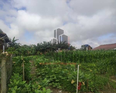 Terreno com plantações diversas na cidade de Itapema/SC no bairro Sertão do Trombudo, cont