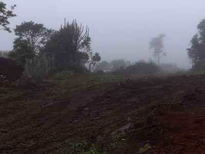 Terreno em Serra Negra, Bezerros/PE de 0m² à venda por R$ 118.000,00