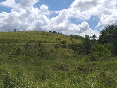 Vendo Área de terreno com 1 hectares beira de pista da BR 232 Jaboatão dos Guararapes PE