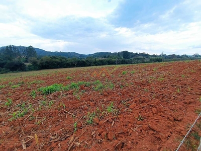 Fazenda em Centro, Mogi Guaçu/SP de 40000m² à venda por R$ 1.999.000,00