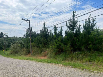 Terreno em Paisagem Renoir, Cotia/SP de 4973m² à venda por R$ 3.499.000,00