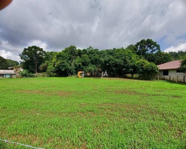 TERRENO RESIDENCIAL em CAMPO LARGO - PR, SÃO CAETANO