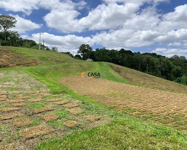 TERRENO RURAL em BALSA NOVA - PR, BUGRE