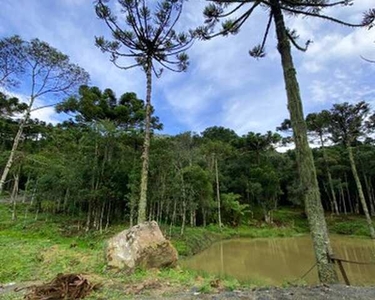 Urubici/Sítio/Area com 2 hectares próximo a Serra do Corvo Branco. Urubici-sc