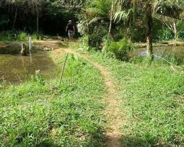 Chácara com 3 dorm e 7200m, São José dos Pinhais - São José dos Pinhais