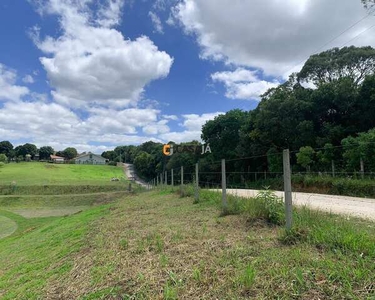 CHACARA RURAL em BALSA NOVA - PR, BALSA NOVA