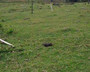 Terreno à venda, 18212 m² na Encantada - Garopaba/SC