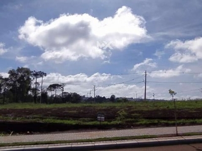 Venda | terreno com 301,00 m². tropical , cascavel