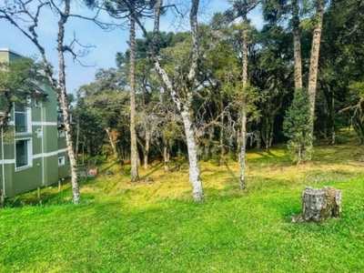Terreno em condomínio fechado à venda na jenny chaves fleck, altos pinheiros, canela por r$ 1.200.000