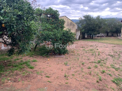 Terreno à venda Estrada Campo Novo, Ipanema - Porto Alegre