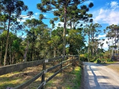 Linda área com 2 hectares na melhor localização de santa tereza urubici a 10 km da cidade