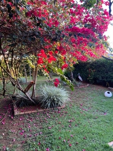 Alugo casa por temporada em Chapada dos Guimarães