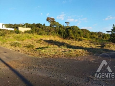 Esquina - Terreno - Vila Estrela