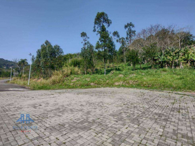Terreno à venda, 859 m² por R$ 1.700.000,00 - Itacorubi - Florianópolis/SC