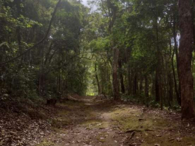 Terreno para Venda em Teresópolis, Quebra Vidro