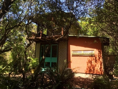 Vendo casa 800 metros do mar na praia do moçambique Rio vermelho com trilha para praia