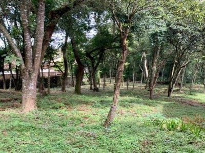 Terreno à venda na rua do ingá, barreirinha, curitiba, 665 m2 por r$ 650.000