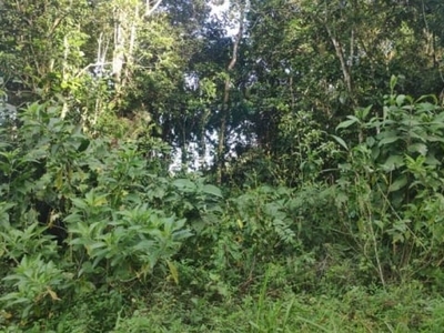 Terreno para venda em caraguatatuba, massaguaçú