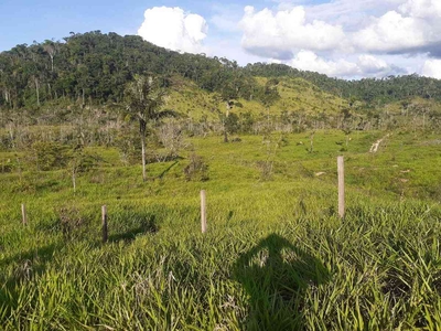 Fazenda com 1 quarto à venda no bairro Zona Rural, 11616000m²